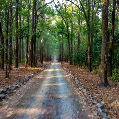 Jim Corbett