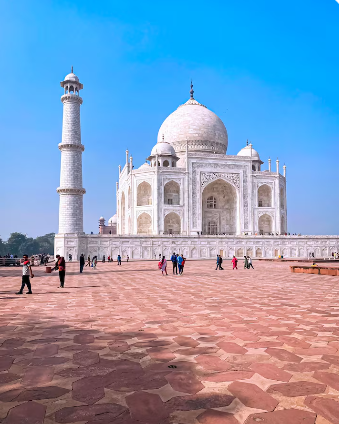 Screenshot 2026 03 12 031124